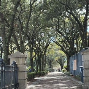 Meet your Posher, Lucy